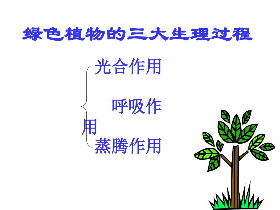 绿色植物三大生理过程_第3页