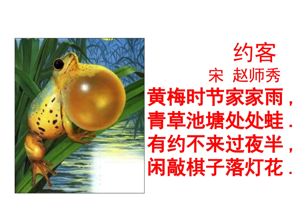 初中二年级生物下册第七单元第一章生物的生殖和发育第三节两栖动物的生殖和发育swcexcrjbz01j03第一课时课件_第3页