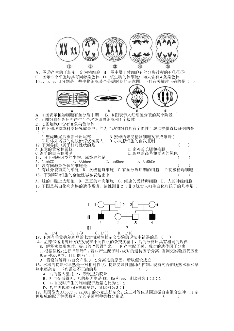 高一下生物第一次月考试卷_第2页