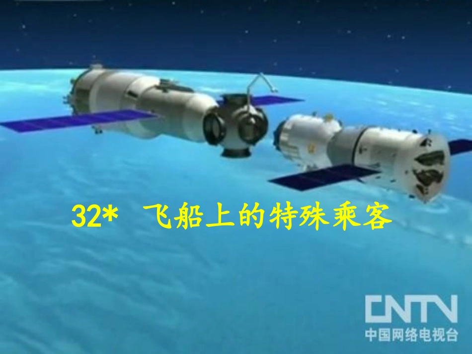 飞船上的特殊乘客 _第1页