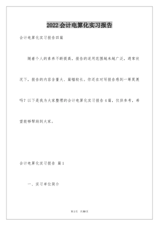 2024会计电算化实习报告_3