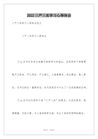 2024三严三实学习心得体会