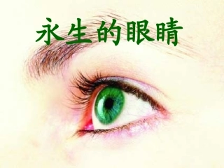 永生的眼睛说课