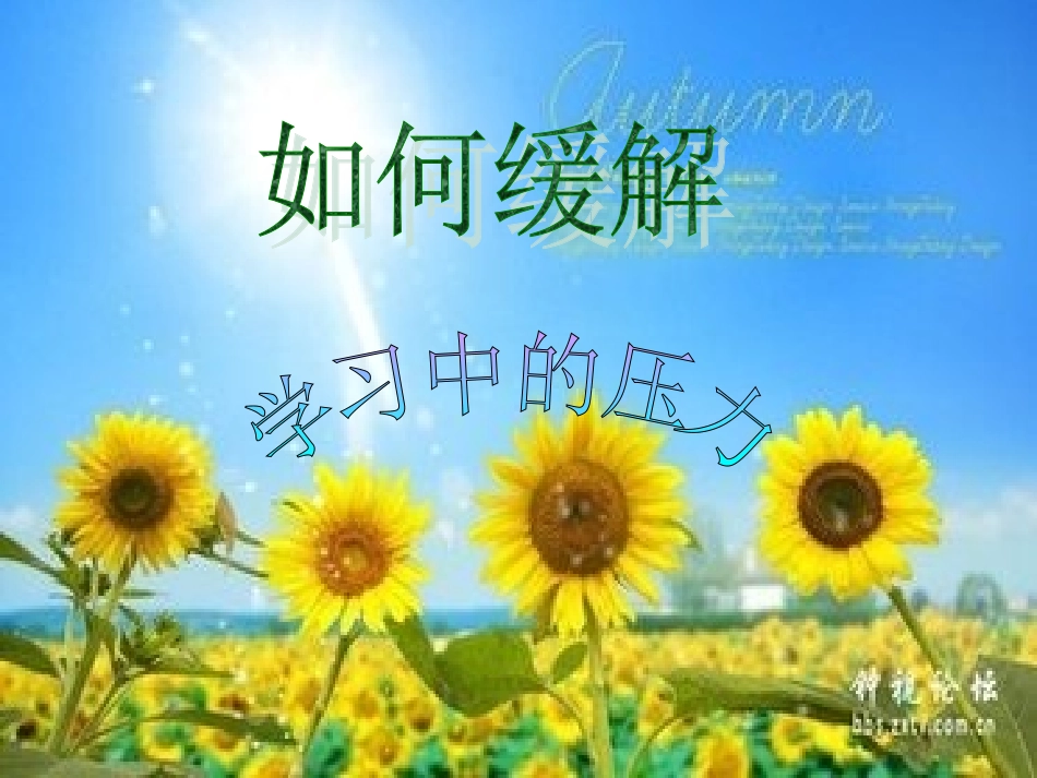 如何缓解学习中的压力_第1页