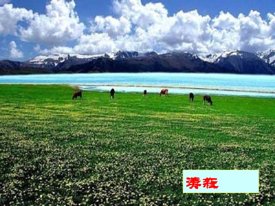 初二语文《苏州园林》PPT课件_第3页