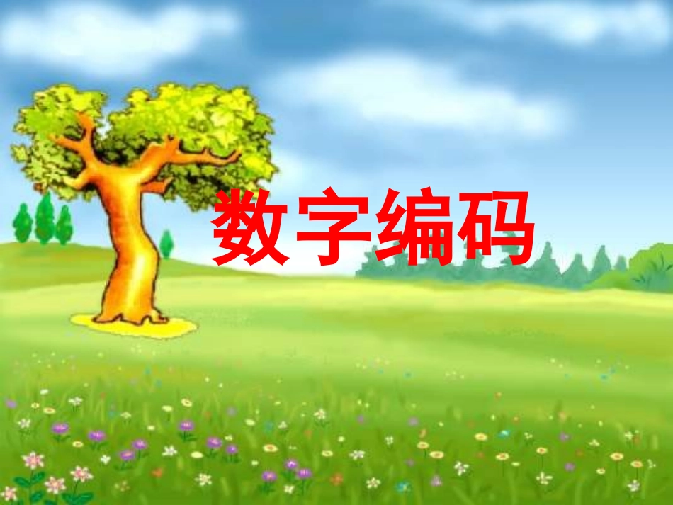 数字编码演示文稿1_第1页