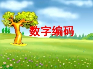 数字编码演示文稿1