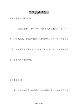 2024兄弟情作文_86