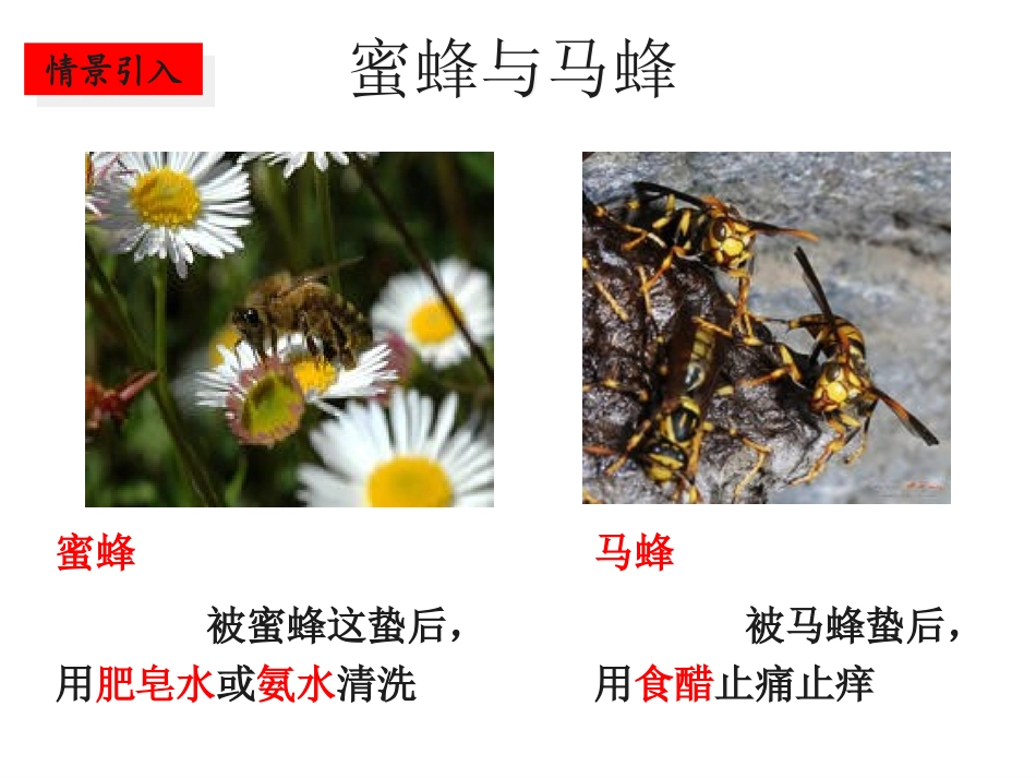 酸和碱的反应 (2)_第3页