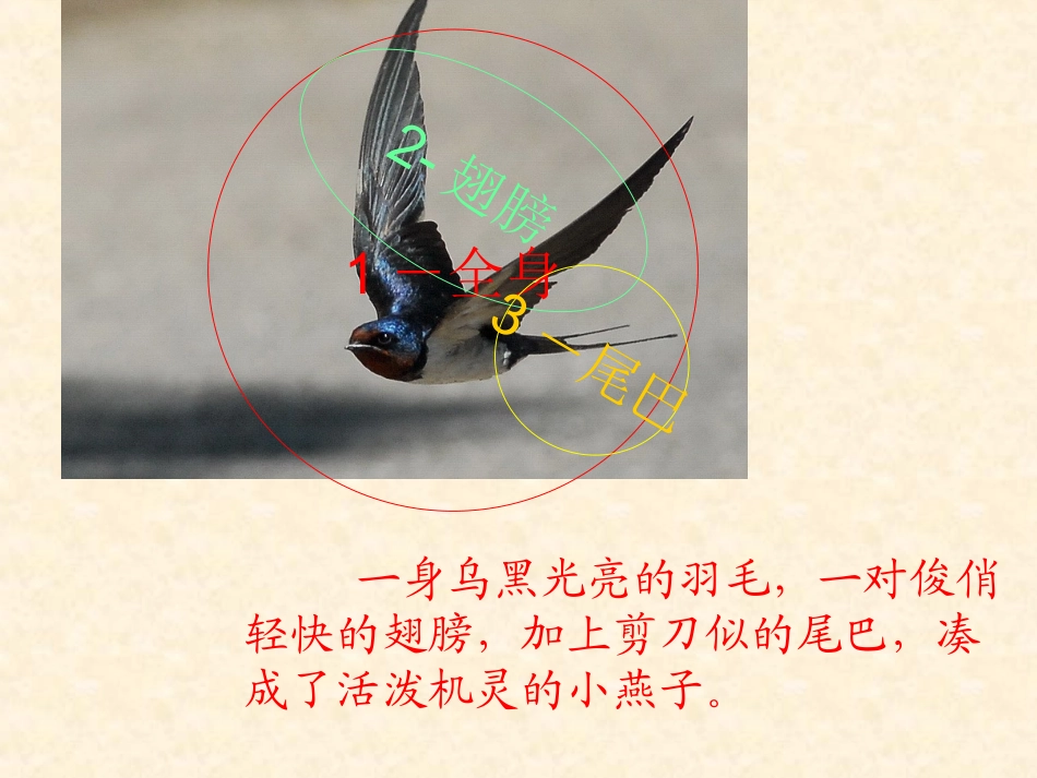 三年级语文园地一习作《介绍家乡的景物》_第3页