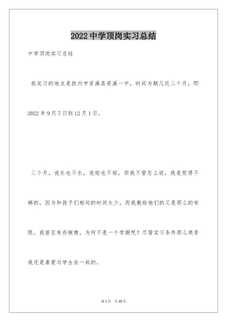 2024中学顶岗实习总结