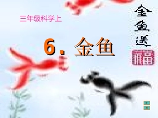 小学科学_三年级上册__金鱼1