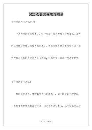 2024会计顶岗实习周记_8
