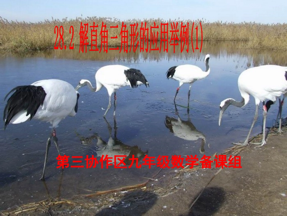 解直角三角形应用举例（1）_第1页