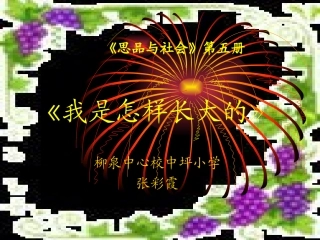 思品我是怎样长大的》