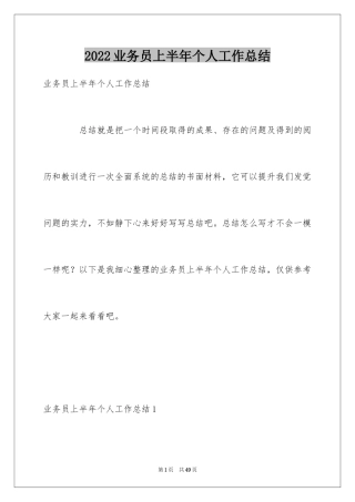 2024业务员上半年个人工作总结