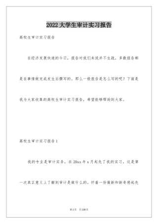 2024大学生审计实习报告_3