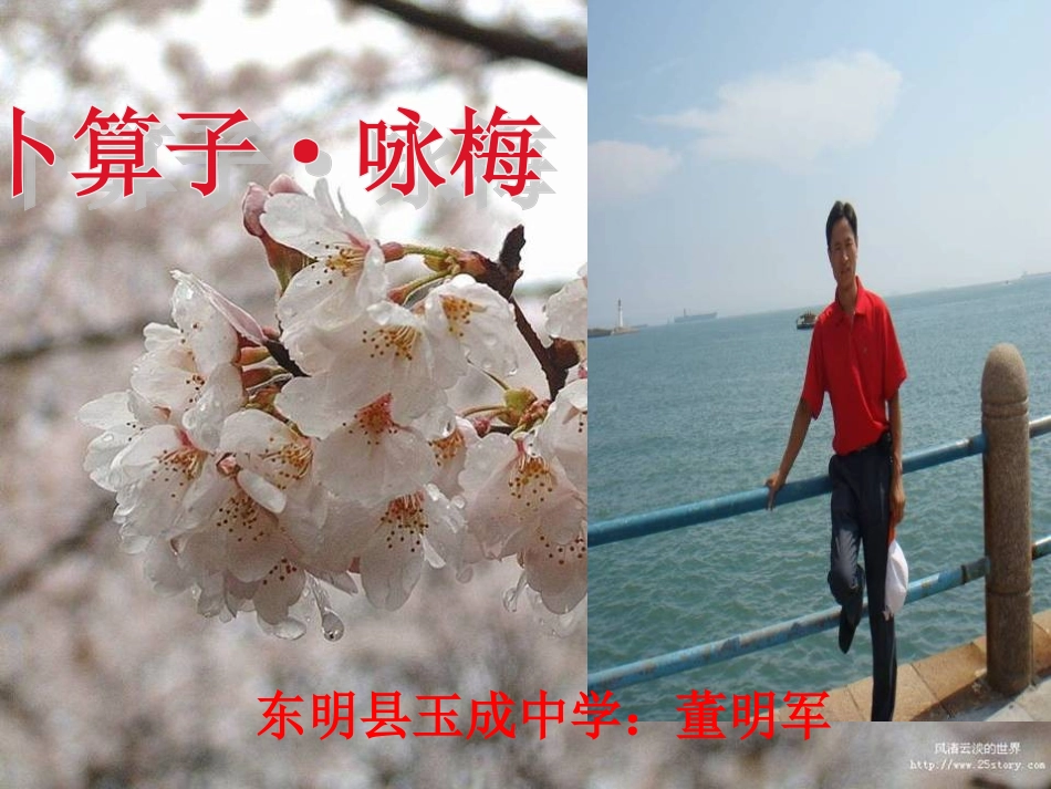 卜算子咏梅(1)_第1页