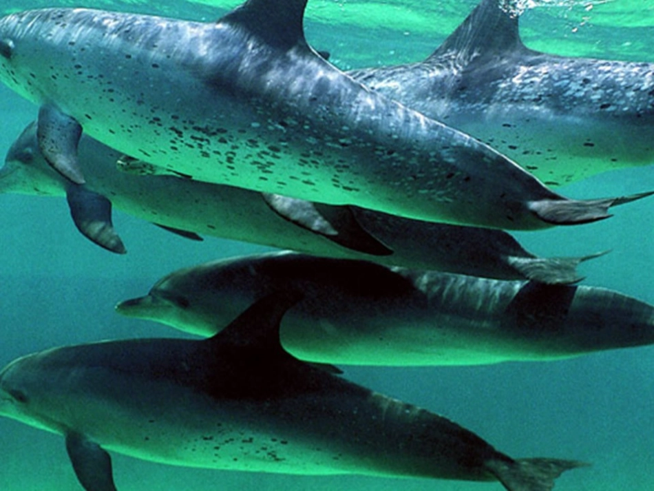 美丽的眼睛课件_第3页