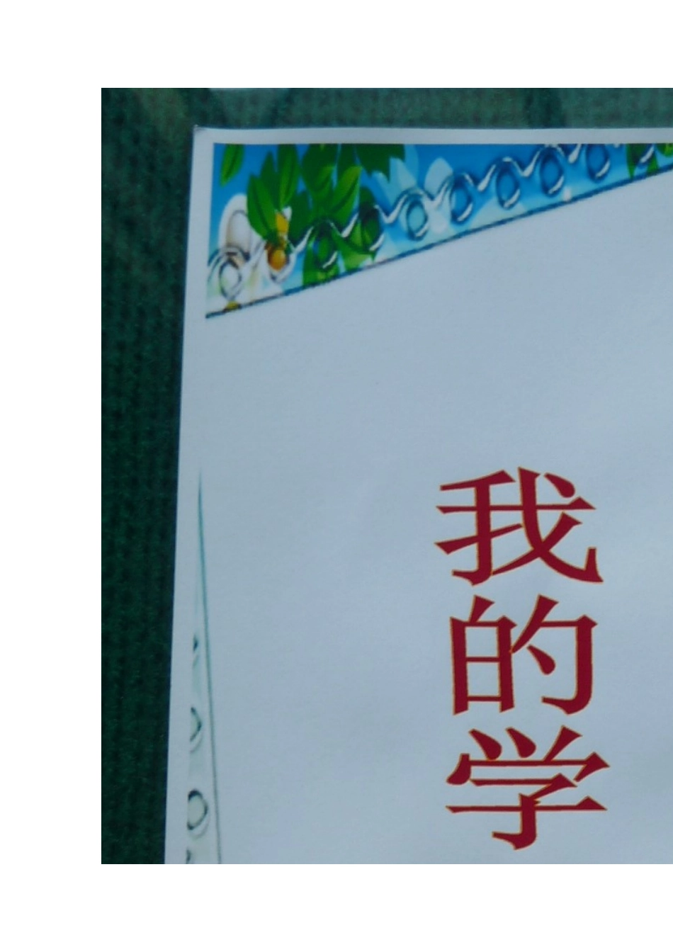 成长册MicrosoftWord文档_第3页
