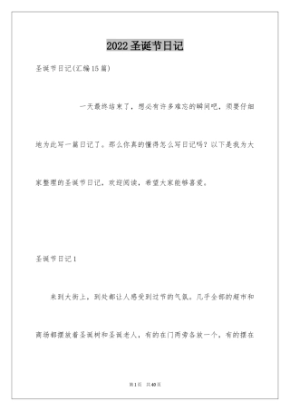 2024圣诞节日记_69