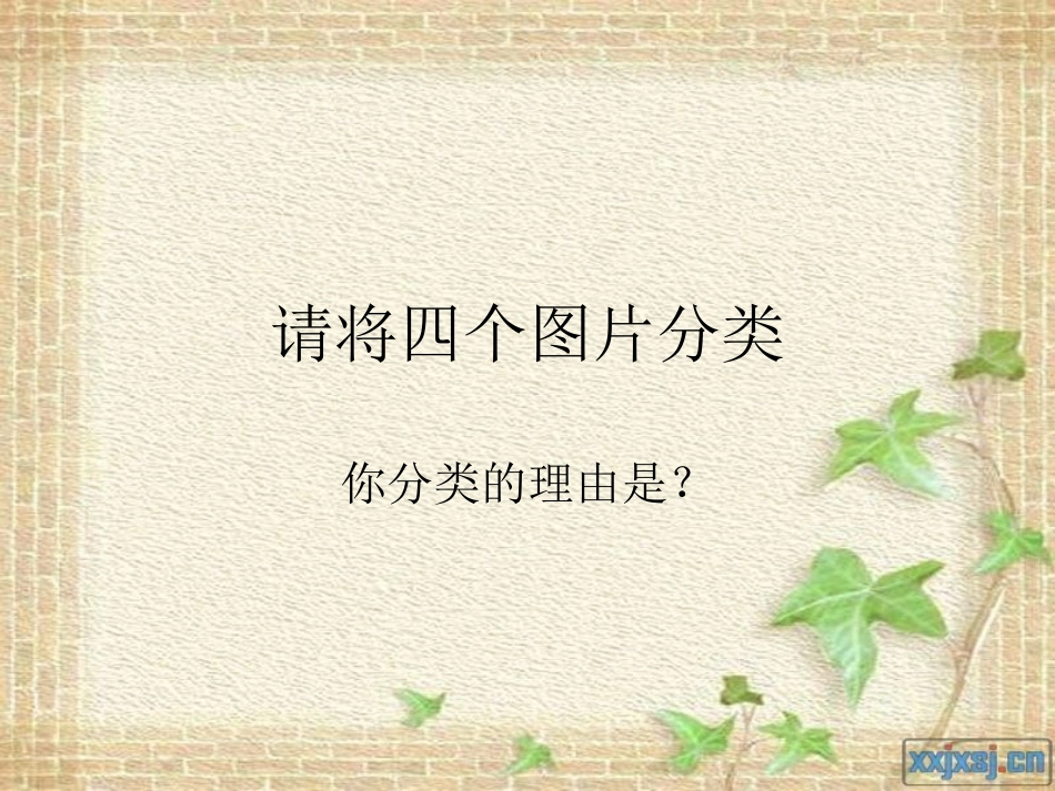 平移和旋转(公开课)陈奕群_第2页