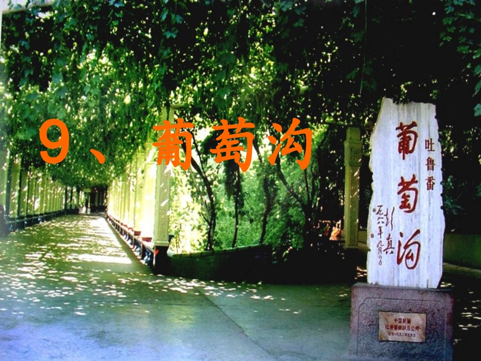 葡萄沟 课件_第1页