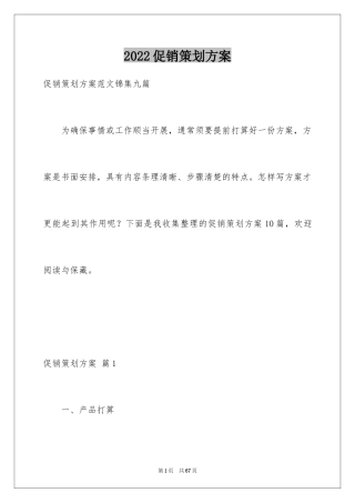 2024促销策划方案_15