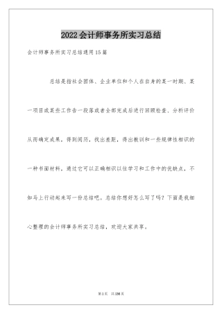 2024会计师事务所实习总结_2