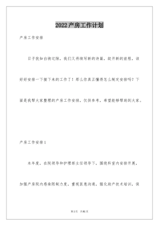 2024产房工作计划_1