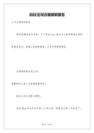 2024公司白领辞职报告