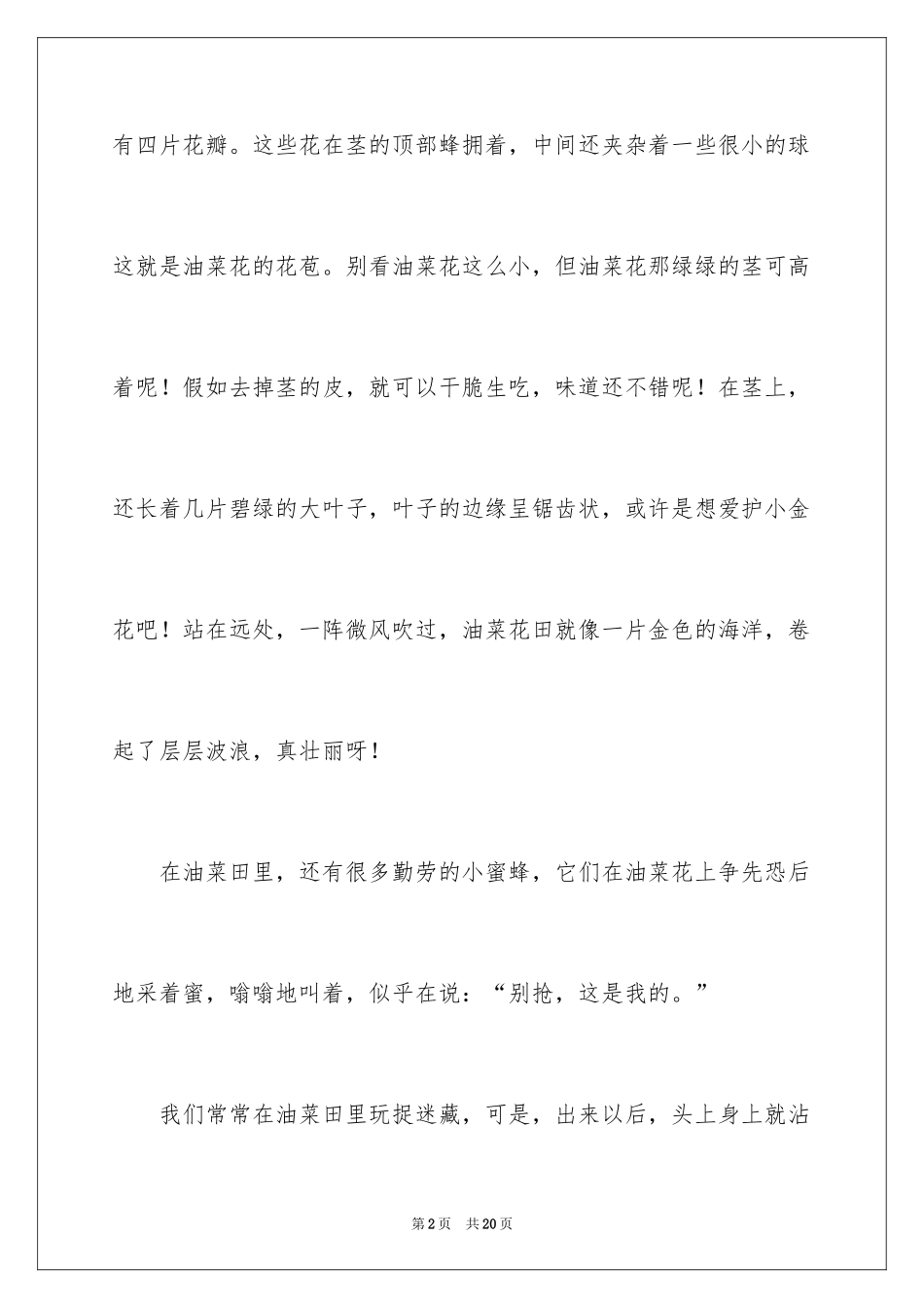 2024写油菜花的小学生作文_第2页
