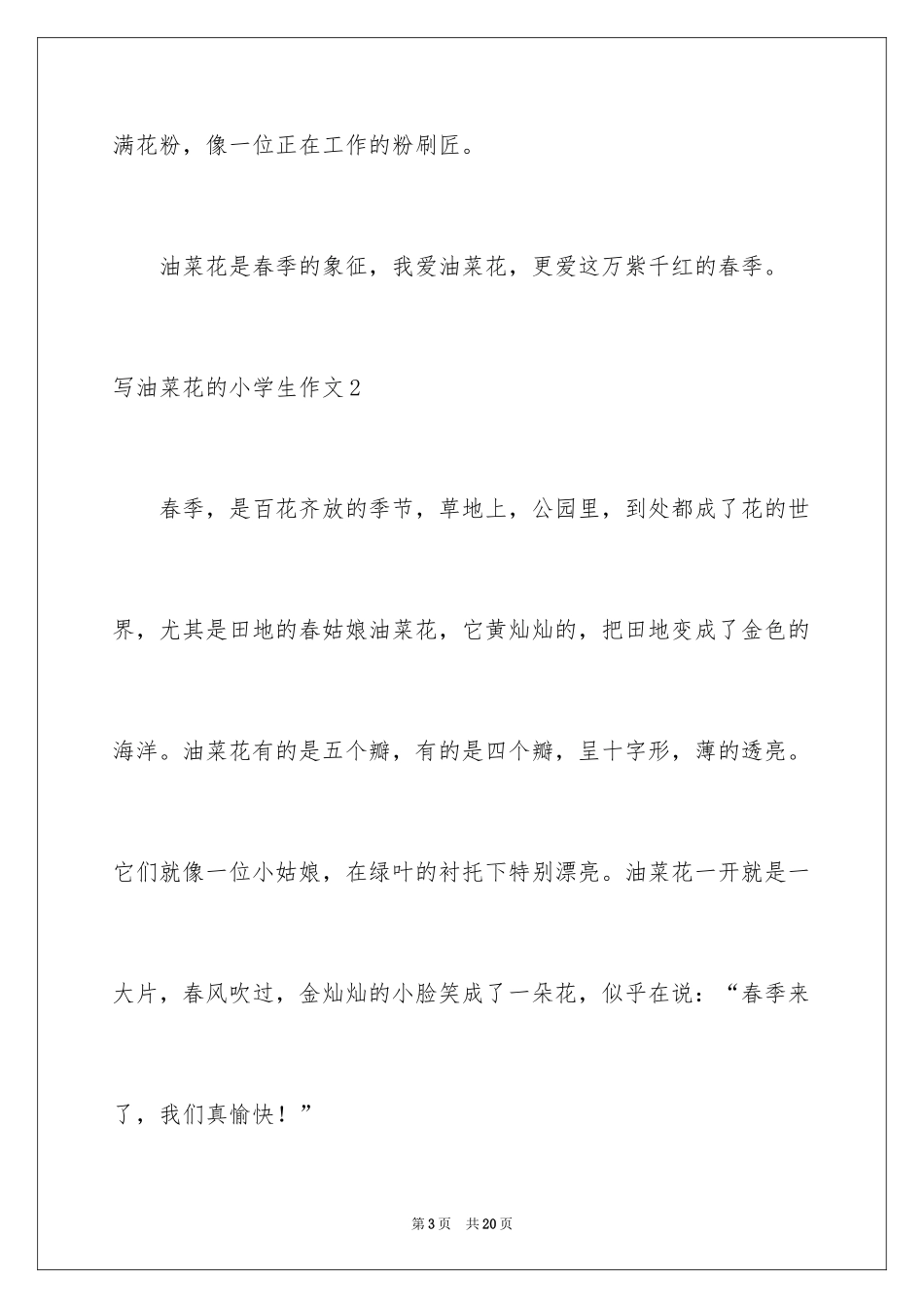2024写油菜花的小学生作文_第3页