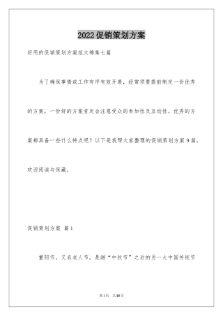 2024促销策划方案_39