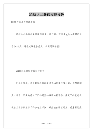 2024大二暑假实践报告