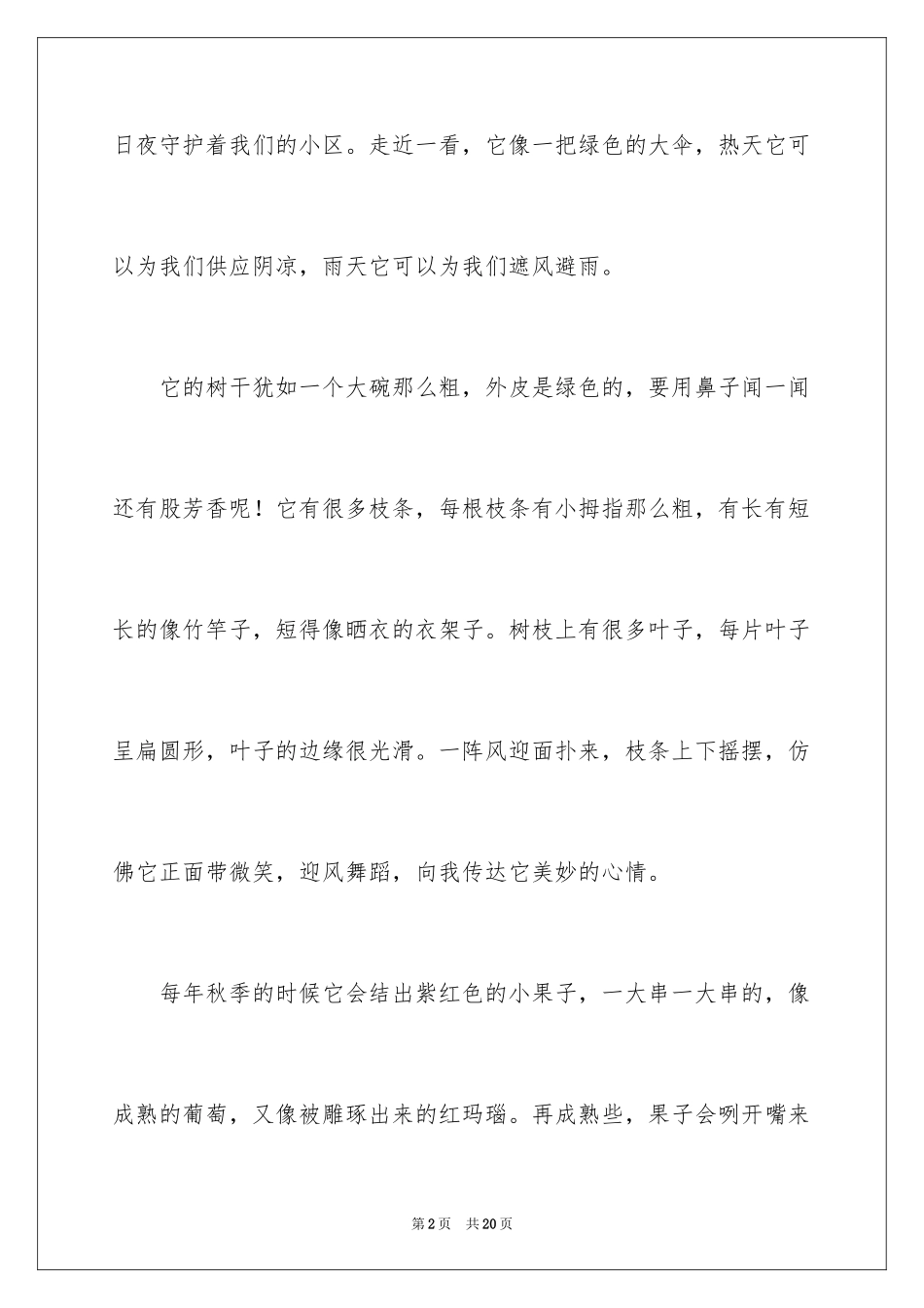 2024写冬青的作文_17_第2页