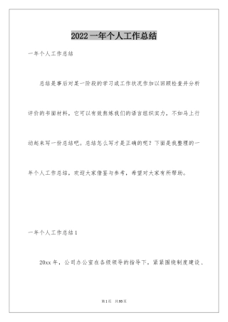 2024一年个人工作总结_1