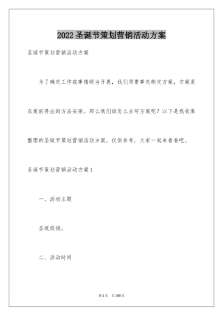 2024圣诞节策划营销活动方案