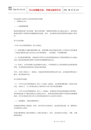 常见违规行为的审计定性和处理处罚依据