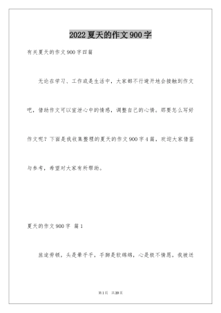 2024夏天的作文900字