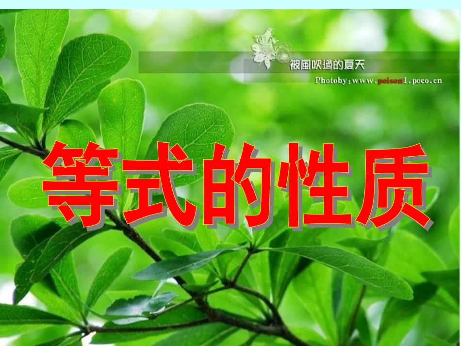 等式的性质(第一课时)_第1页