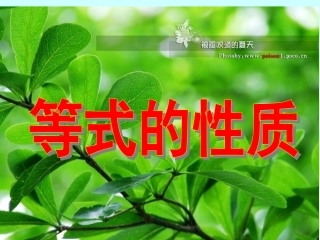 等式的性质(第一课时)