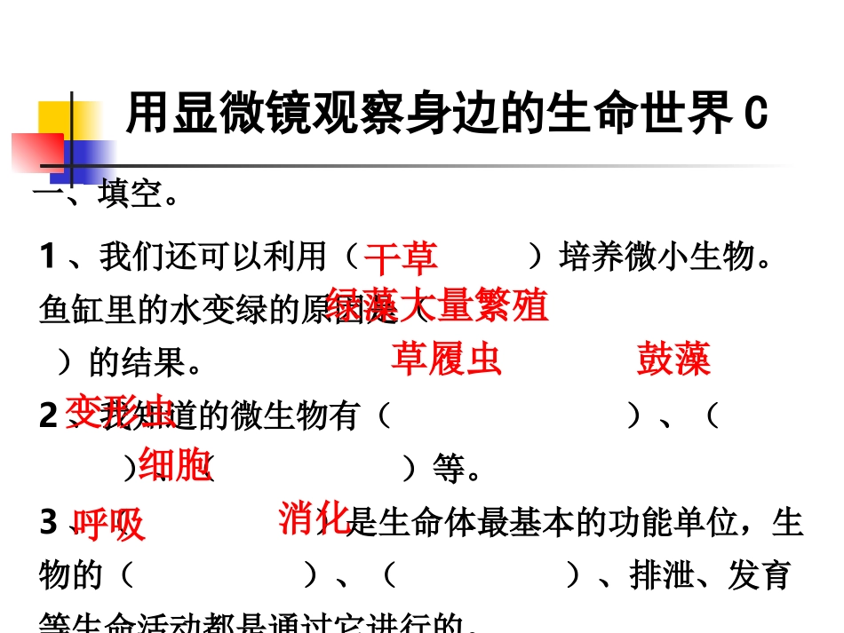 教科版小学科学六年级下册第一单元《用显微镜观察身边的生命世界》PPT课件之三_第2页