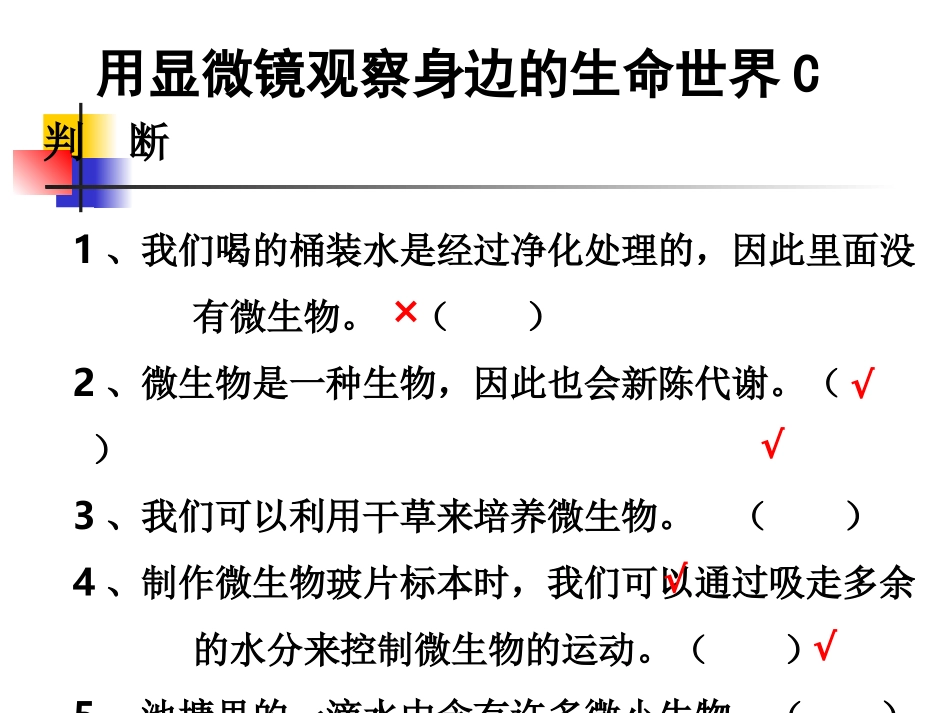 教科版小学科学六年级下册第一单元《用显微镜观察身边的生命世界》PPT课件之三_第3页