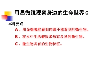 教科版小学科学六年级下册第一单元《用显微镜观察身边的生命世界》PPT课件之三