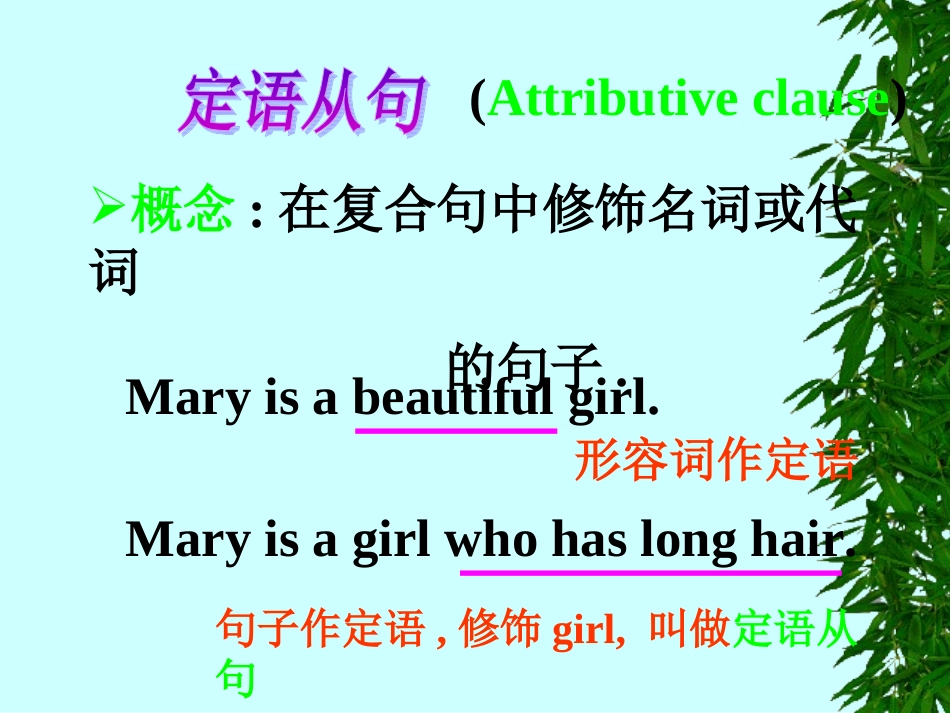 初中定语从句课堂讲解课件_第3页