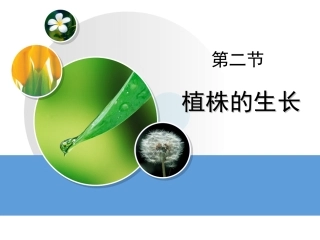《植株的生长》参考教学课件1