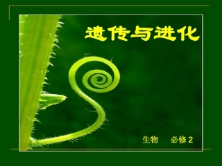 人教版必修二第1章第1节孟德尔的豌豆杂交实验（1）（共43张PPT）
