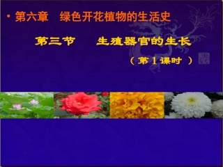 生殖器官的生长