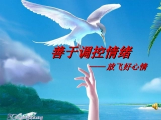 善于调控情绪年秋